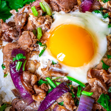 beef rice bowl