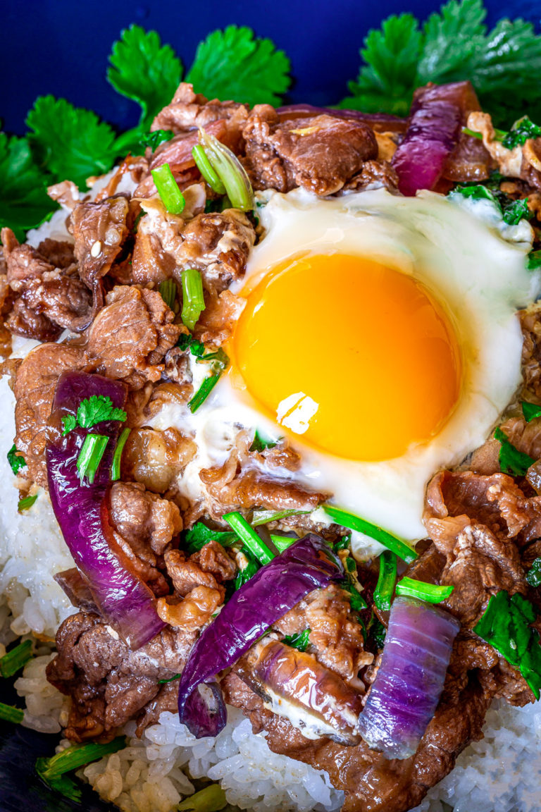 beef rice bowl