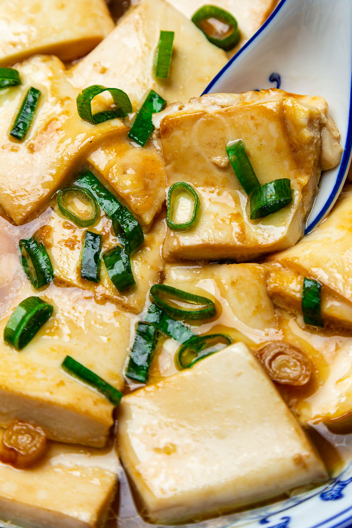 silken tofu recipe, Recipe using silken tofu, silk tofu recipe, silken tofu dish, silken tofu meal, soft tofu recipe, recipe using soft tofu