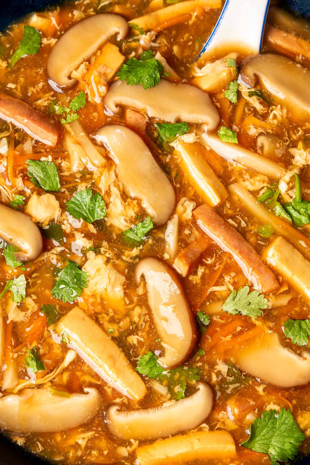 hot sour soup, hot and sour soup, hot and spicy soup recipe, chinese hot & sour soup recipe, chinese hot and spicy soup, chinese hot spicy soup, easy hot and sour soup recipe, easy hot sour soup recipe, Chinese soup, Chinese soup food, chinese soup veg, chinese sour soup, chinese veg soup, sour soup recipe, chinese sour soup